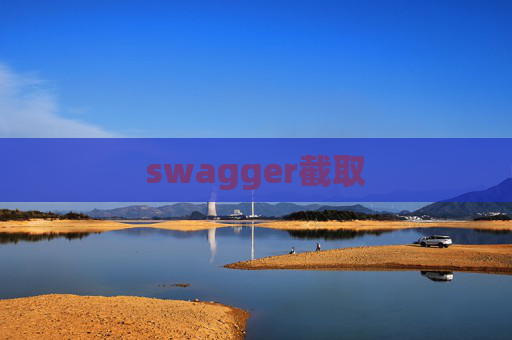 swagger截取